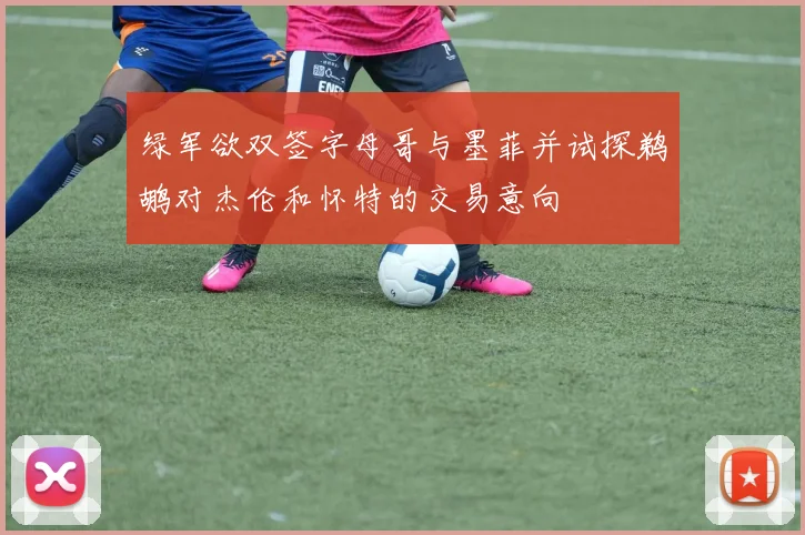 绿军欲双签字母哥与墨菲并试探鹈鹕对杰伦和怀特的交易意向