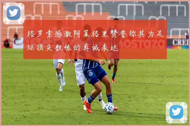 格罗索感激阿莱格里赞誉称其为足坛顶尖教练的真诚表达