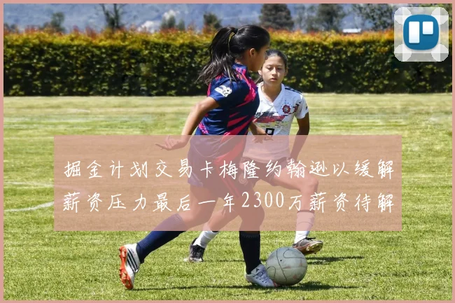 掘金计划交易卡梅隆约翰逊以缓解薪资压力最后一年2300万薪资待解