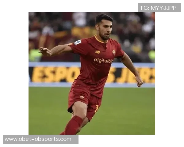 意甲第14轮处罚公告切利克停赛1场恩佐拉遭遇3场禁赛处罚 意甲第14轮处罚公告切利克停赛1场恩佐拉遭遇3场禁赛处罚